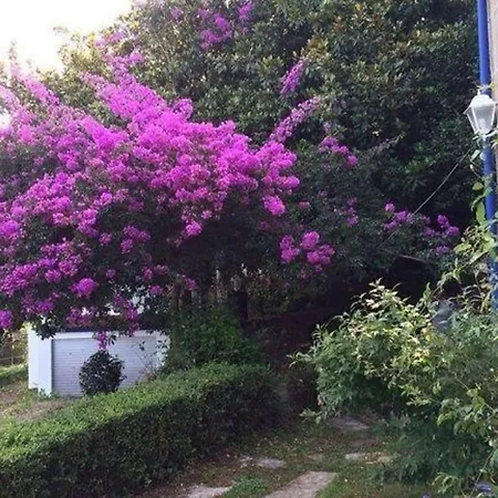 Ferienhaus Fuer 12 Personen Und 2 In Redondela, Costa Spanien Rias Baixas Redondela